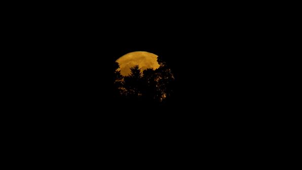 Mond 20.7.2024 Bösingen Schweiz