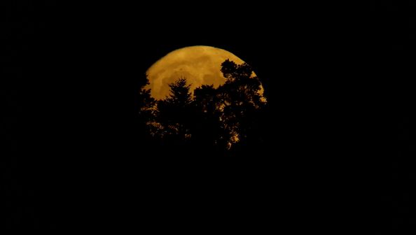 Mond 20.7.2024 Bösingen Schweiz